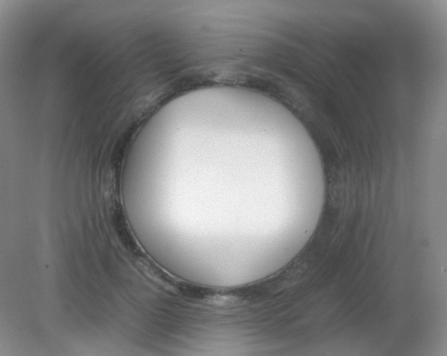 X0000081630748200702051258