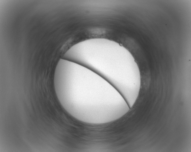 X0000081630758200702051258
