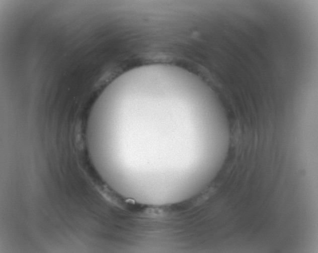 X0000081630764200702051258