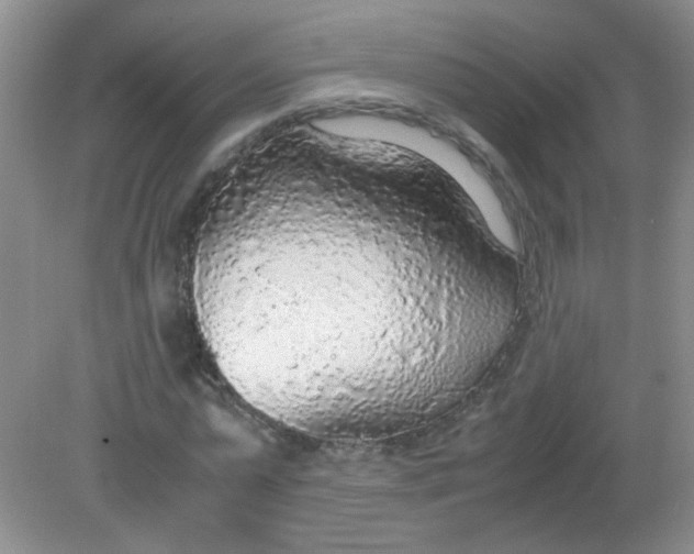 X0000081630775200702051257