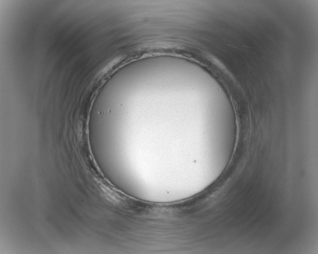 X0000081630777200702051257