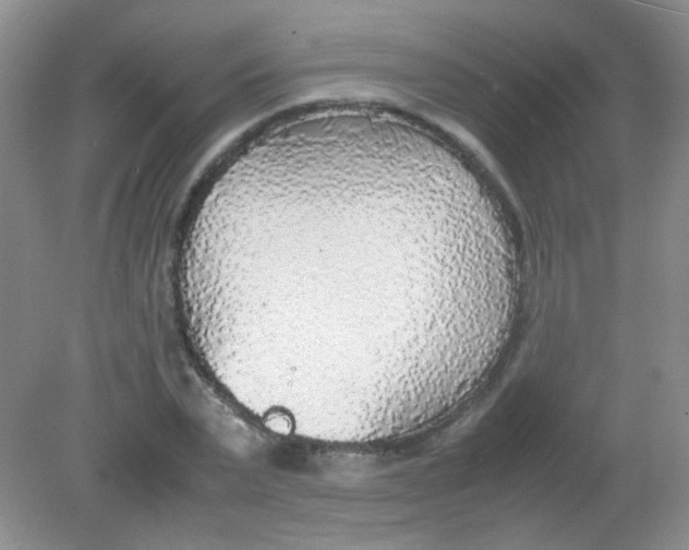 X0000081630783200702051257