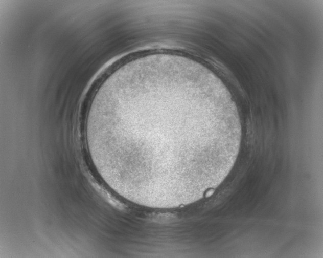 X0000081630784200702051257