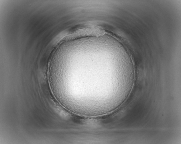 X0000081630785200702051257