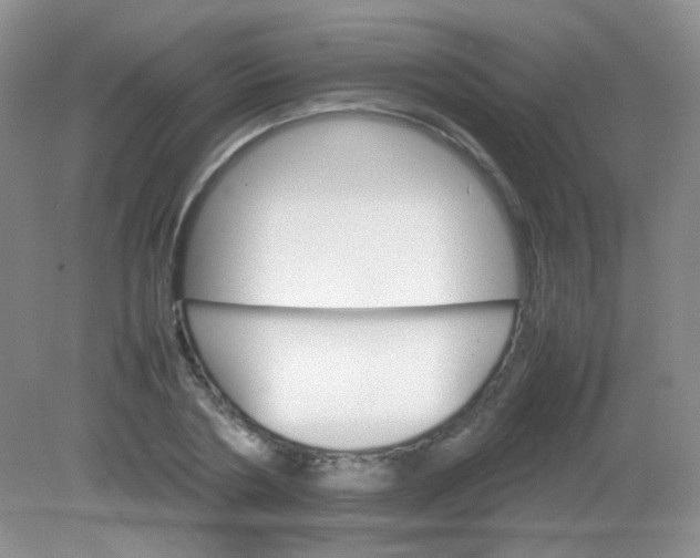 X0000081630786200702051257