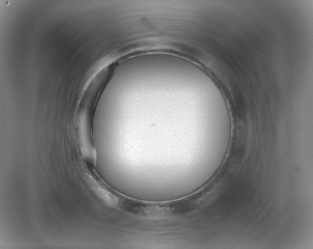 X0000081630789200702051257
