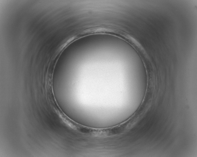X0000081630793200702051257