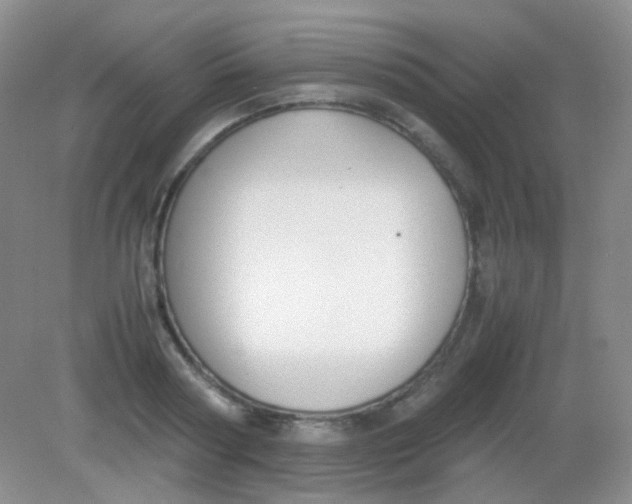 X0000081630794200702051257