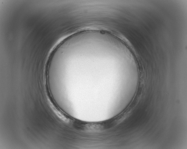 X0000081630795200702051257