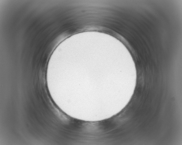 X0000081630810200702051257
