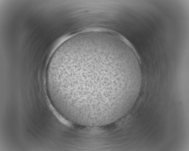 X0000081630811200702051257