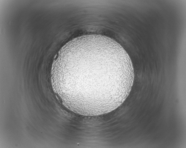 X0000081630817200702051256
