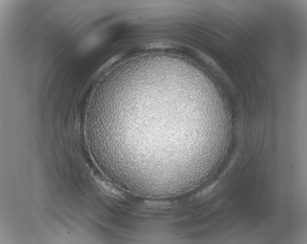 X0000081630825200702051256