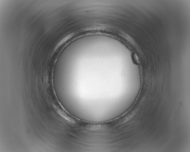 X0000081630826200702051256