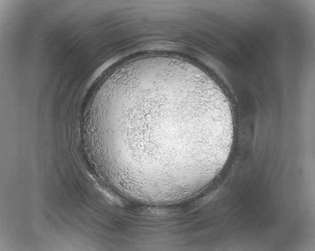 X0000081630829200702051256