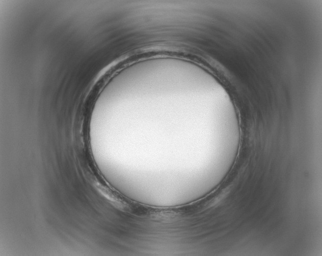 X0000081630830200702051256