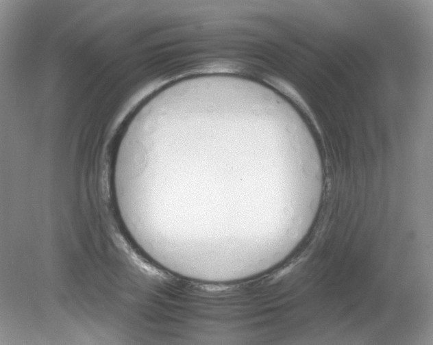 X0000081630835200702051256