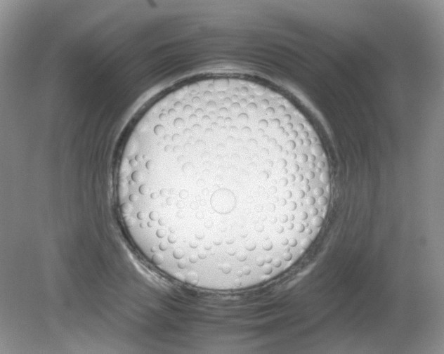 X0000081630837200702051256