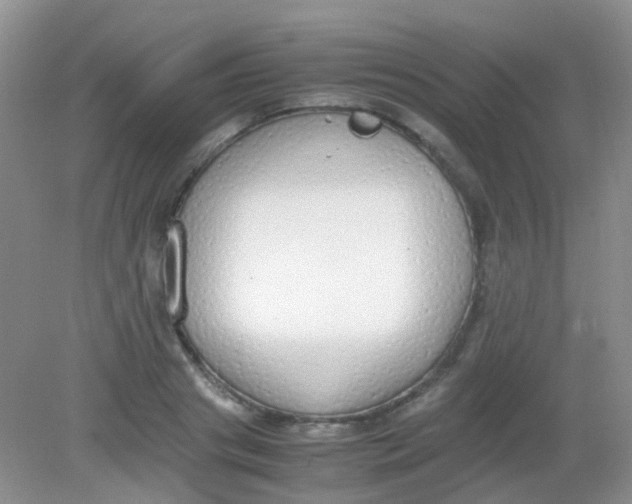 X0000081630841200702051256