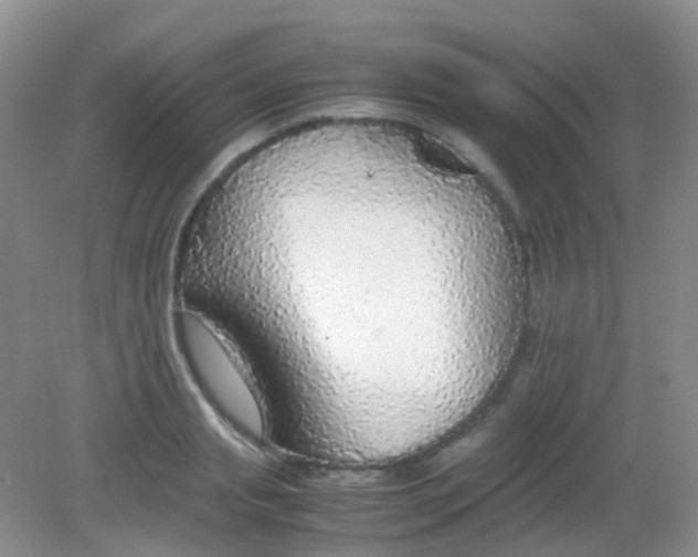 X0000081630845200702051256