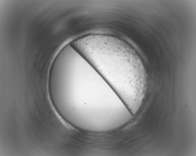 X0000081630853200702051257