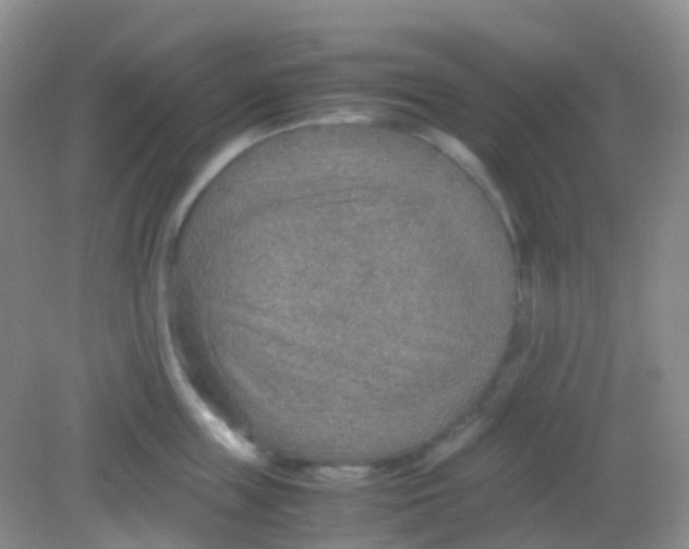 X0000081630859200702051257