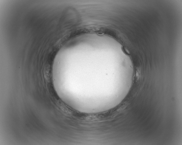 X0000081630867200702051256