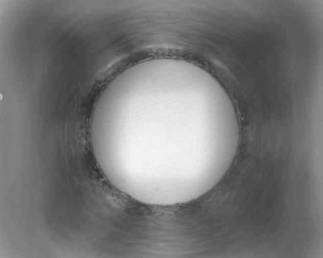 X0000081630870200702051256