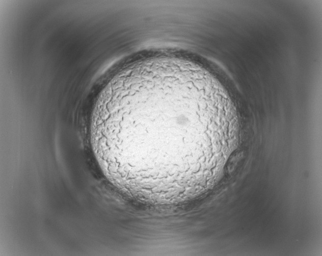 X0000081630871200702051256