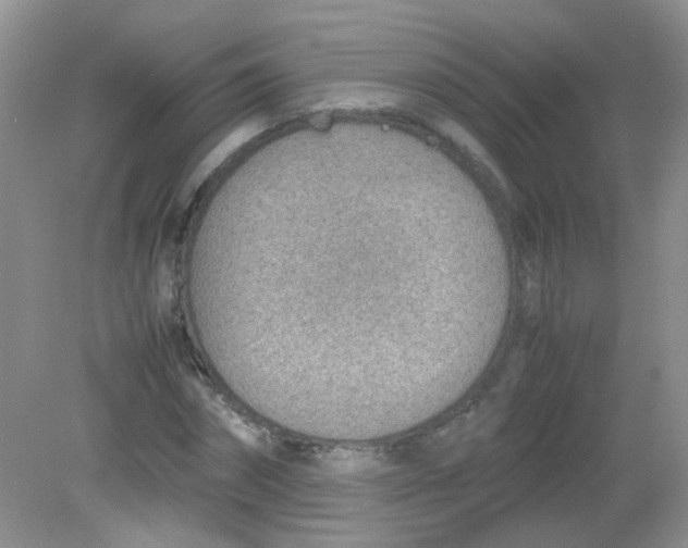 X0000081630874200702051256