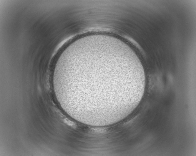 X0000081630878200702051256