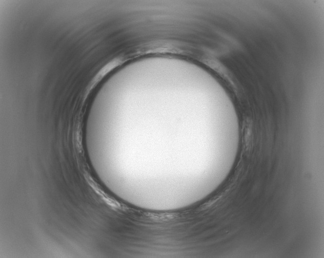 X0000081630882200702051256
