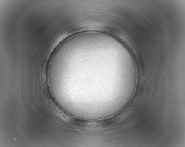 X0000081630883200702051256