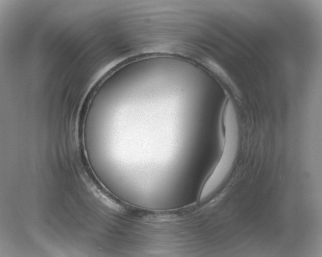 X0000081630884200702051256
