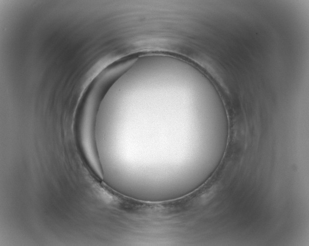 X0000081630885200702051256