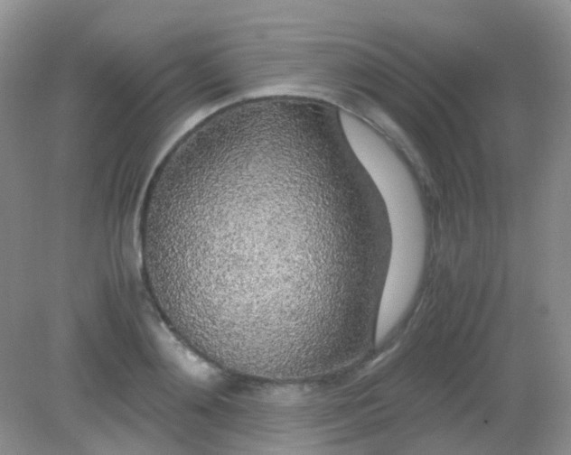 X0000081630892200702051256