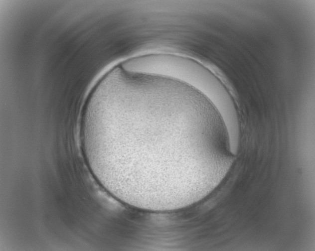 X0000081630904200702051255