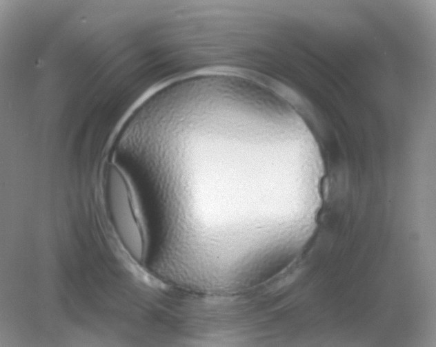 X0000081630908200702051255