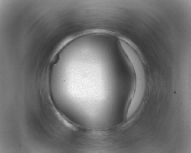 X0000081630910200702051255
