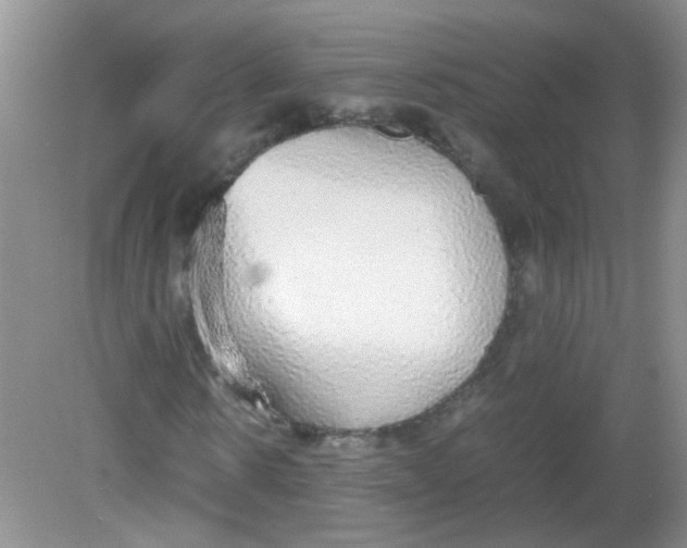X0000081630914200702051254