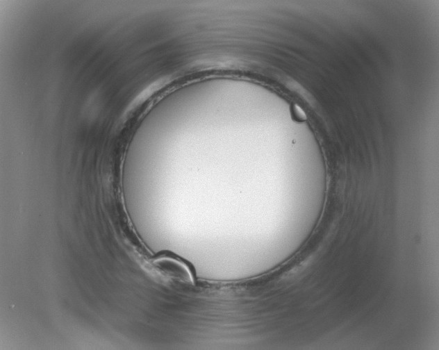 X0000081630922200702051255