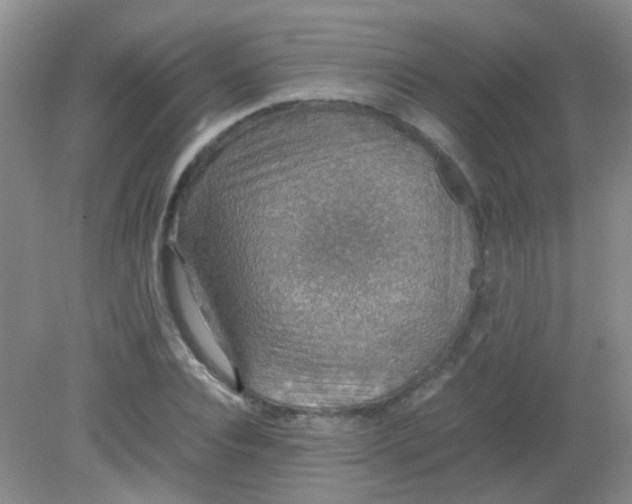 X0000081630928200702051255