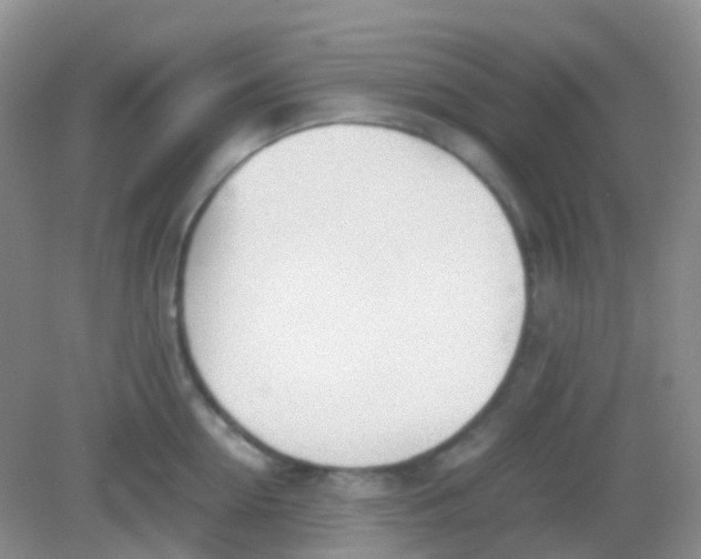 X0000081630954200702051255