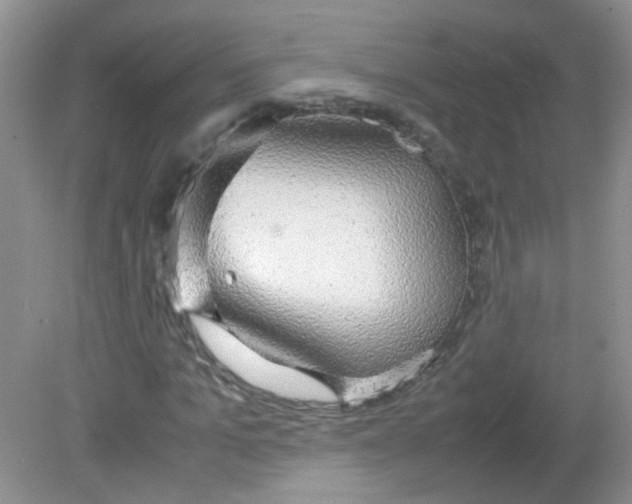X0000081630965200702051254