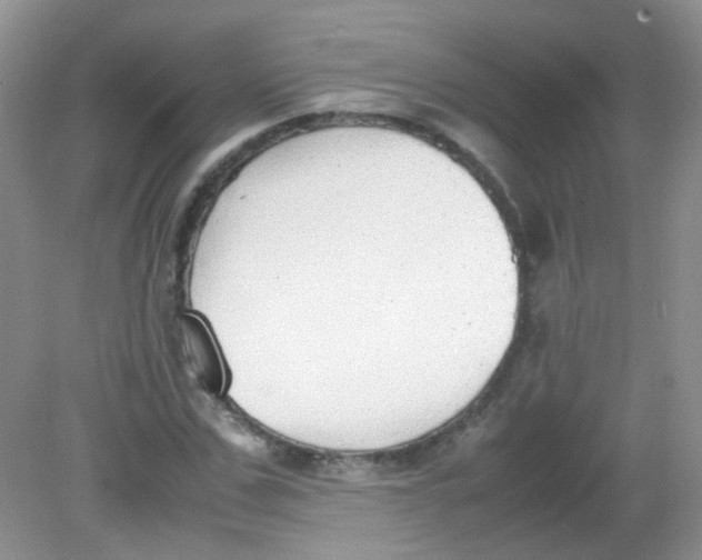 X0000081630971200702051254