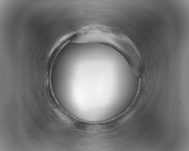 X0000081630973200702051254