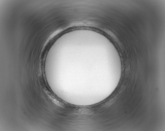 X0000081630974200702051254