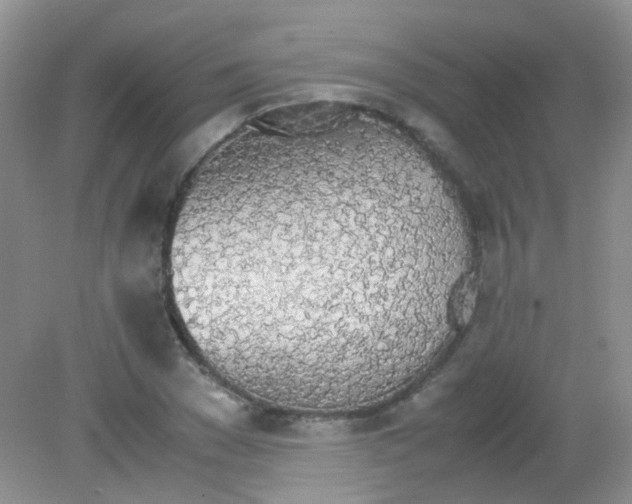 X0000081630977200702051254