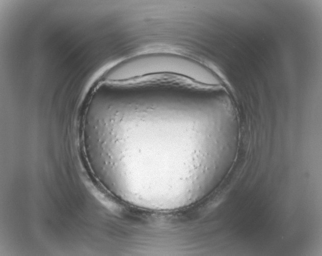 X0000081630987200702051254