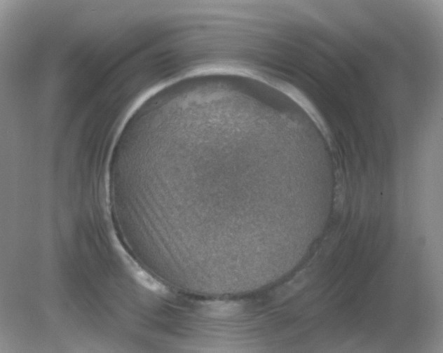 X0000081630996200702051254